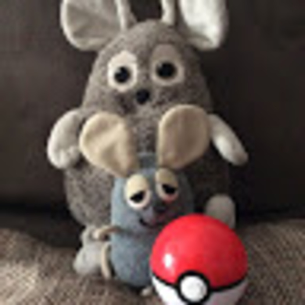 Meet your Posher, Lilkj